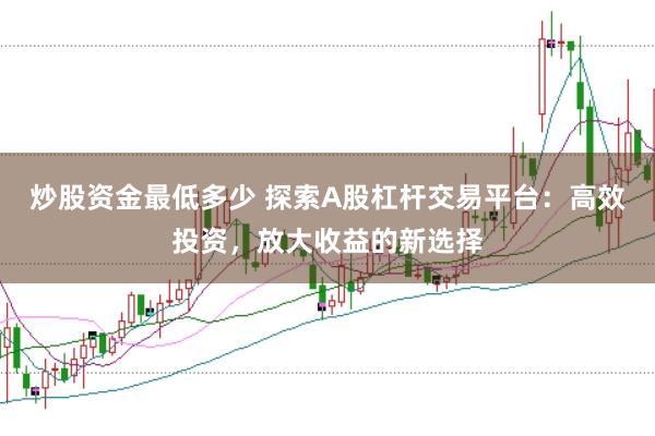 炒股资金最低多少 探索A股杠杆交易平台:高效投资,放大收益的新选择
