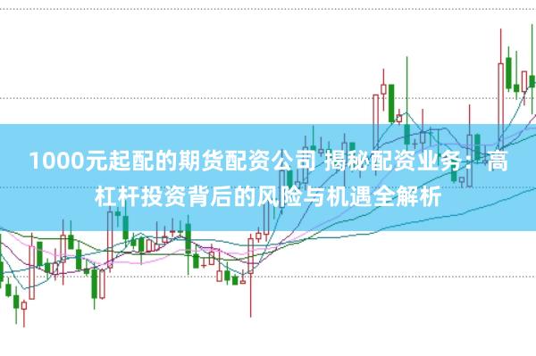 1000元起配的期货配资公司 揭秘配资业务：高杠杆投资背后的风险与机遇全解析