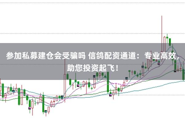 参加私募建仓会受骗吗 信鸽配资通道：专业高效，助您投资起飞！