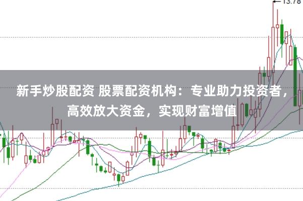 新手炒股配资 股票配资机构：专业助力投资者，高效放大资金，实现财富增值
