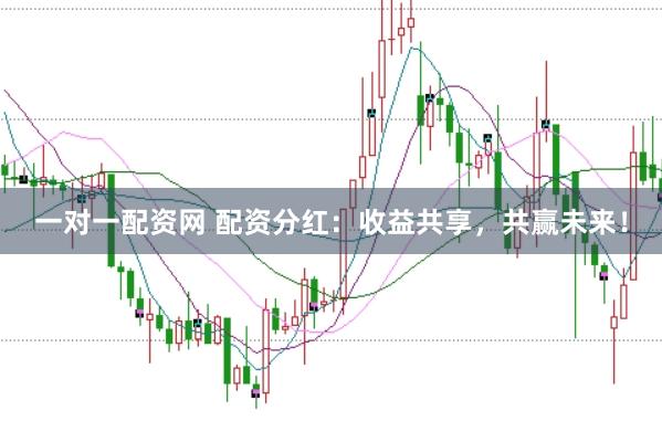 一对一配资网 配资分红：收益共享，共赢未来！