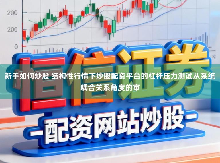 新手如何炒股 结构性行情下炒股配资平台的杠杆压力测试从系统耦合关系角度的审